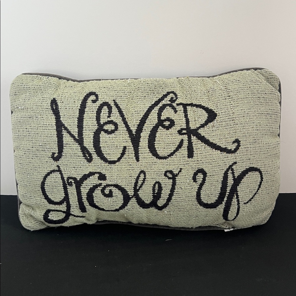 Disney Peter Pan Never Grow Up Accent Pillow - Black and Gray